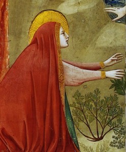 Sainte Marie-Madeleine (détail) Giotto di Bondone (13e) 